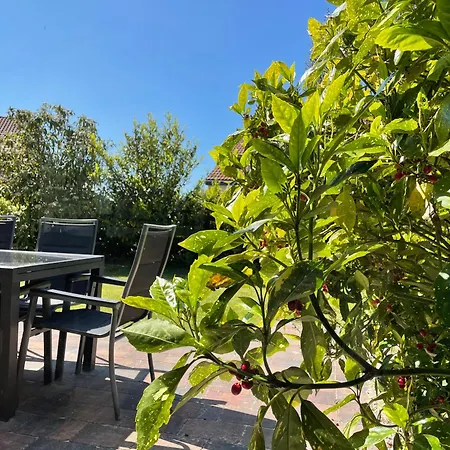 Yperhof 25 Tatil Evi *